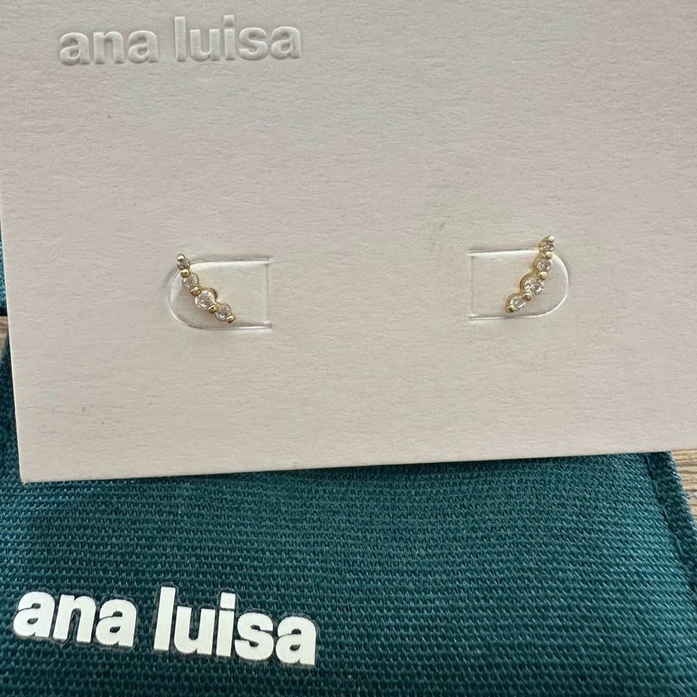 Ana Luisa earrings in the style bonny.